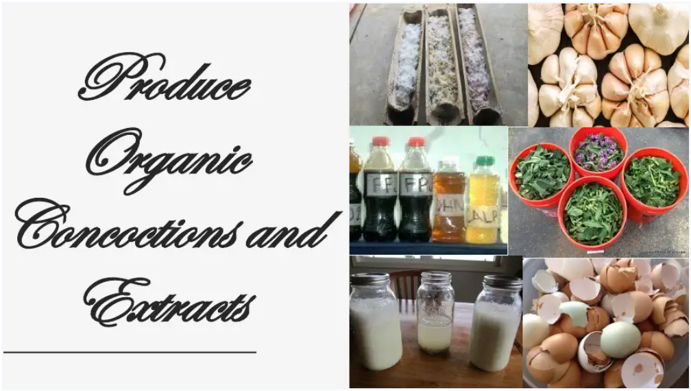 UC 4 -  Produce Organic Concoctions and Extracts