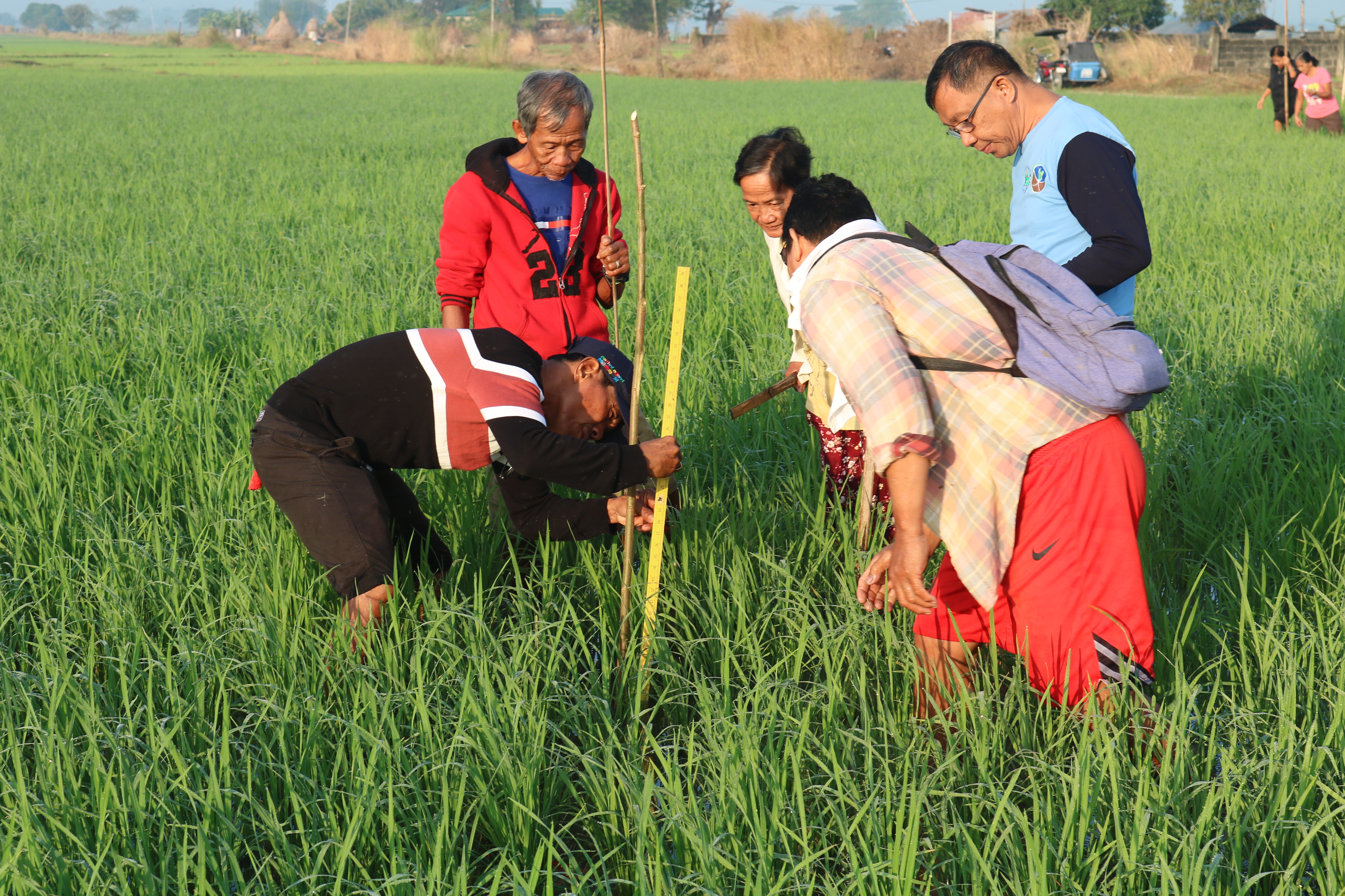 Unit of Competency 4: Apply Integrated Rice Management Technology